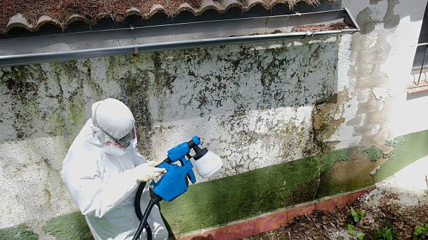 Mold Remediation service in Pequannock, Pequannock, NJ